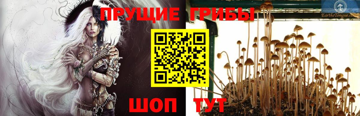 Галлюциногенные грибы мицелий  Вход с VPN  Красногорск 